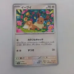 2026年最新】ポケモンカード イーブイ カラフルキャッチの人気アイテム