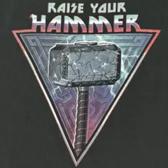 00s MARVEL Tシャツ ソーラブ&サンダー ムジョルニア アメコミ
