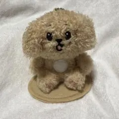 MINITEEN MAGNET PLUSH KEYRING ミンギュKIMJA - メルカリ