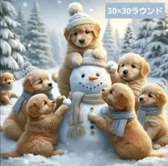 No 6268 ダイヤモンドアートキット 未使用品