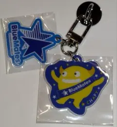 横浜DeNAベイスターズBlueMatesチャーム付キーリングハンガー2個Set