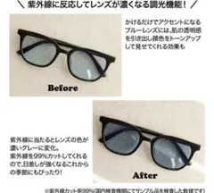 大人ミューズ付録　河北裕介監修サングラス