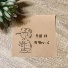 【月星様専用】オーダーページ