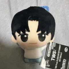 TWS ちびぐるみvol.2 YOUNGJAE ぬいぐるみ - メルカリ