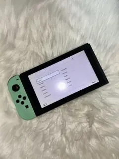 Switch 本体 Joy-Con欠品 あつ森