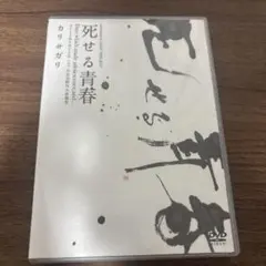 2026年最新】cari≠gariの人気アイテム - メルカリ