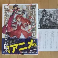 転生した大聖女は、聖女であることをひた隠す 11