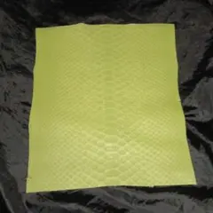 Item thumbnail for item 301a7214-ae58-49cc-82bc-bd8dca066623