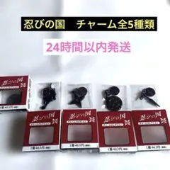 大野智　忍びの国チャーム全5種類セット 未使用品