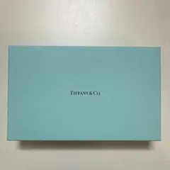 ねこさん専用　Tiffany & Co.の空箱のみ