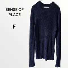 センスオブプレイス ニット トップス あったか 無地 伸縮性 着回し ネイビー