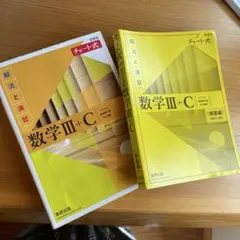 数学Ⅲ+C チャート式 解法と演習&解答編