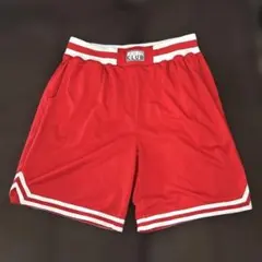 日本大学“PHOENIX“プラクティスハーフパンツ【部員限定】Mサイズ