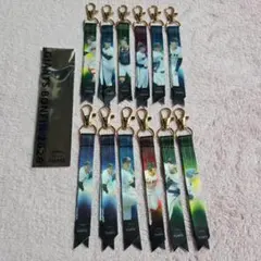 読売ジャイアンツ ボンフィン 2026　12点セット