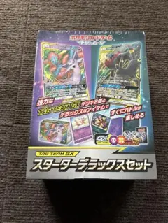 シュリンク付き未開封 スターターデラックスセットTAG TEAM サン