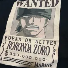 official ONE PIECE ワンピース　ゾロ　XL