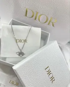 Dior ディオール ネックレス シルバー 箱・保存袋付き 正規品のサムネイル