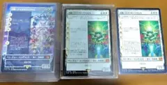 mtg ブラストダーム 日本語版 foil - メルカリ