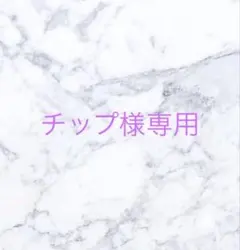 チップ様専用ページ