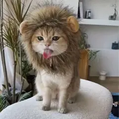 Item thumbnail for item a27a909f-21cf-4a0c-9018-3ded2ea93e1b