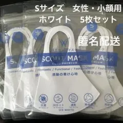 Item thumbnail for item c7126c31-eee0-4ef7-8807-4cbd239926b0