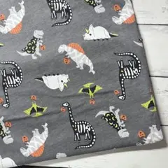 天竺ニット生地
