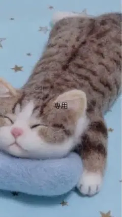 Z+M専用
