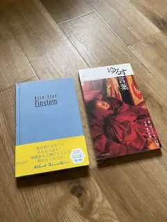 Bite-Size Einstein / ゆるす言葉 セット出品