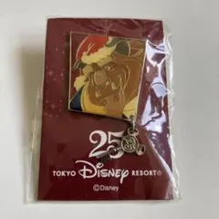 東京ディズニーリゾート 25周年記念ピンバッジ