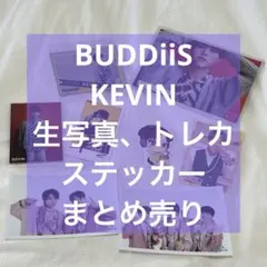2026年最新】ケビン buddiisの人気アイテム - メルカリ