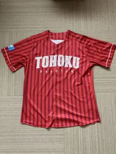 Item thumbnail for item 18be6446-9840-443f-b988-e48bc49d228d