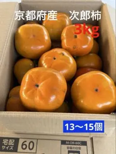 10/29 収穫 無農薬 甘柿　次郎柿　3kg