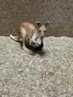 シュライヒ　カンガルー フィギュア 約10cm