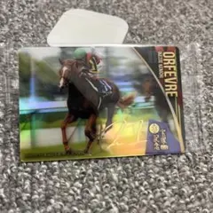 サラブレッドホースコレクション
