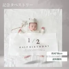 태피스트리, 아기 기념 사진, 벽, 상반기 생일, 1/2