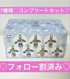 フォロー割済み　シークレットオブスノーウィーデイ コンプリートセット