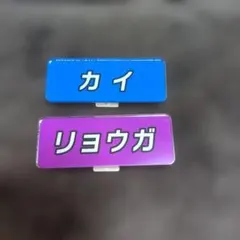 超特急ふじびじスクール 名札バッジ カイ リョウガ