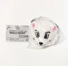 プロ野球マスコット フェイスぬいぐるみ レオ