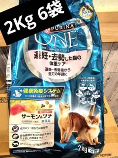 ネスレ ピュリナワン 健康マルチケア 15歳以上 チキン 2Kg 6袋