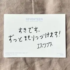 SEVENTEEN SVT トレカ スンチョル