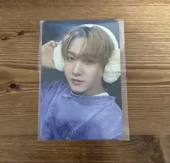 Stray Kids DO IT FANS 購入特典 チャンビン