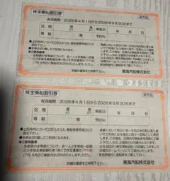 東海汽船株主優待券　2枚セット　2026年4月1日〜9月30日　匿名発送のサムネイル
