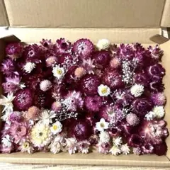 ピンク系ドライフラワーセット ボックス入り