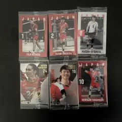 JAPAN NATIONAL VOLLEYBALL TEAM ツインウエハース