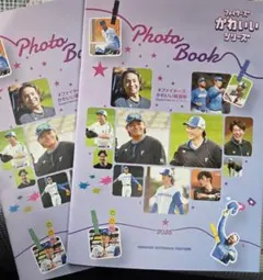 Item thumbnail for item a68a33b6-95c8-47ae-b47f-6b6a6a2b1be5