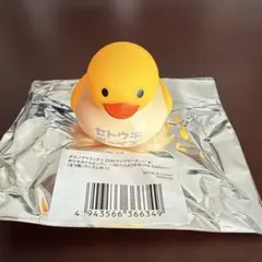 ポルノグラフィティ あひるのぐらふぃてぃ SETOUCHI BOYS