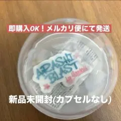 嵐カプセルトイ マグネット Hawaii 会場限定 We are ARASHI - メルカリ