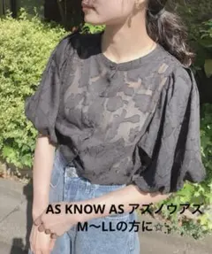アズノウアズ 透かしブラウス　半袖レディース　韓国系　シアーシャツのサムネイル