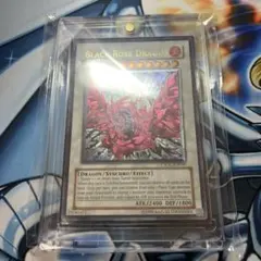 Item thumbnail for item dc13231c-3488-4d75-9610-7a034c4c83b1