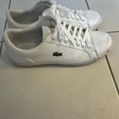Lacoste ホワイトスニーカー